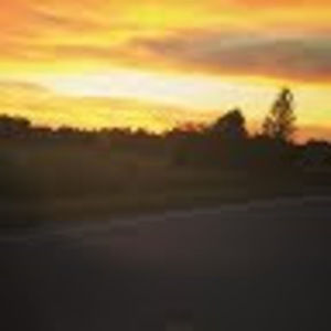 Meet your Posher, Dennis